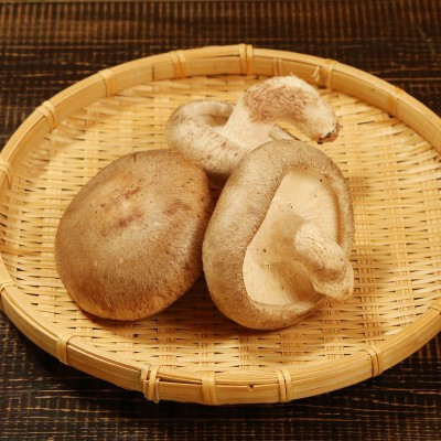 あらかわ生しいたけ菌床ホダ木セット(自分で育てる)2セット