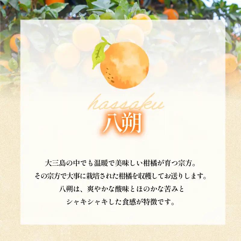 【先行予約】宗方印 八朔（家庭用）約3kg
