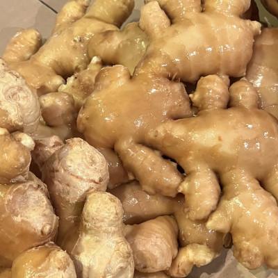 ふるさと納税 あきる野市 【スパイスカレー専門店/山のスパイス】　自家製ジンジャーエールの素 |  | 01