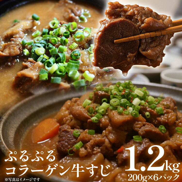 【ふるさと納税】牛すじ 下処理済 ぷるぷる コラーゲン 200g×6パック 計1.2kg 小分け 牛スジ 牛肉 味付けなし おでん カレー スープ 牛すじ丼 どて煮 ビーフシチュー レンジで温めるだけ おつまみ おかず