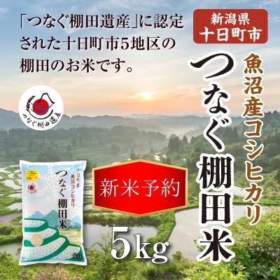 ふるさと納税 十日町市 【先行予約・令和8年産】新潟県十日町市魚沼産コシヒカリ「つなぐ棚田米」精米5kg