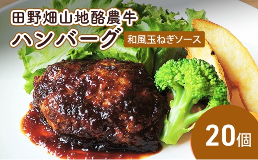 田野畑山地酪農牛ハンバーグ 和風玉ねぎソース 20個 牛肉 肉 牛 惣菜 おかず お弁当 冷凍 小分け 個包装 湯煎 温めるだけ 簡単調理 レトルト 詰め合わせ ブランド牛 希少 厳選素材 旨味 ジューシー 国産 岩手県 盛岡市 東北 岩手 盛岡 有限会社 秀吉