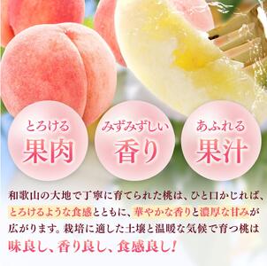 桃 秀品 和歌山の桃　約4kg  ※2026年6月下旬～8月上旬頃順次発送【tec911B】