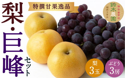 【先行予約】 鈴木農園 特撰甘果逸品 梨 ・ 巨峰 セット （3玉・3房） 【2026年8月下旬～9月上旬より順次発送予定】 完熟梨 なし ナシ 葡萄 ぶどう ブドウ 果物 くだもの フルーツ 果実 新鮮 フレッシュ 詰め合わせ 詰合せ お取り寄せ 福岡県 うきは市 冷蔵