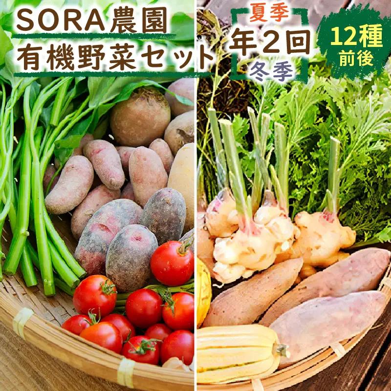 【野菜の定期便】有機野菜セット 夏冬 年２回 | SORA農園