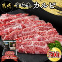 【ふるさと納税】宮崎牛カルビ500g - 宮崎牛 国産牛 黒毛和牛 牛肉 カルビ 500g 焼肉 冷凍でお届け ギフト 贈答用 送料無料 18-4205【宮崎県都城市は2年連続ふるさと納税日本一！】