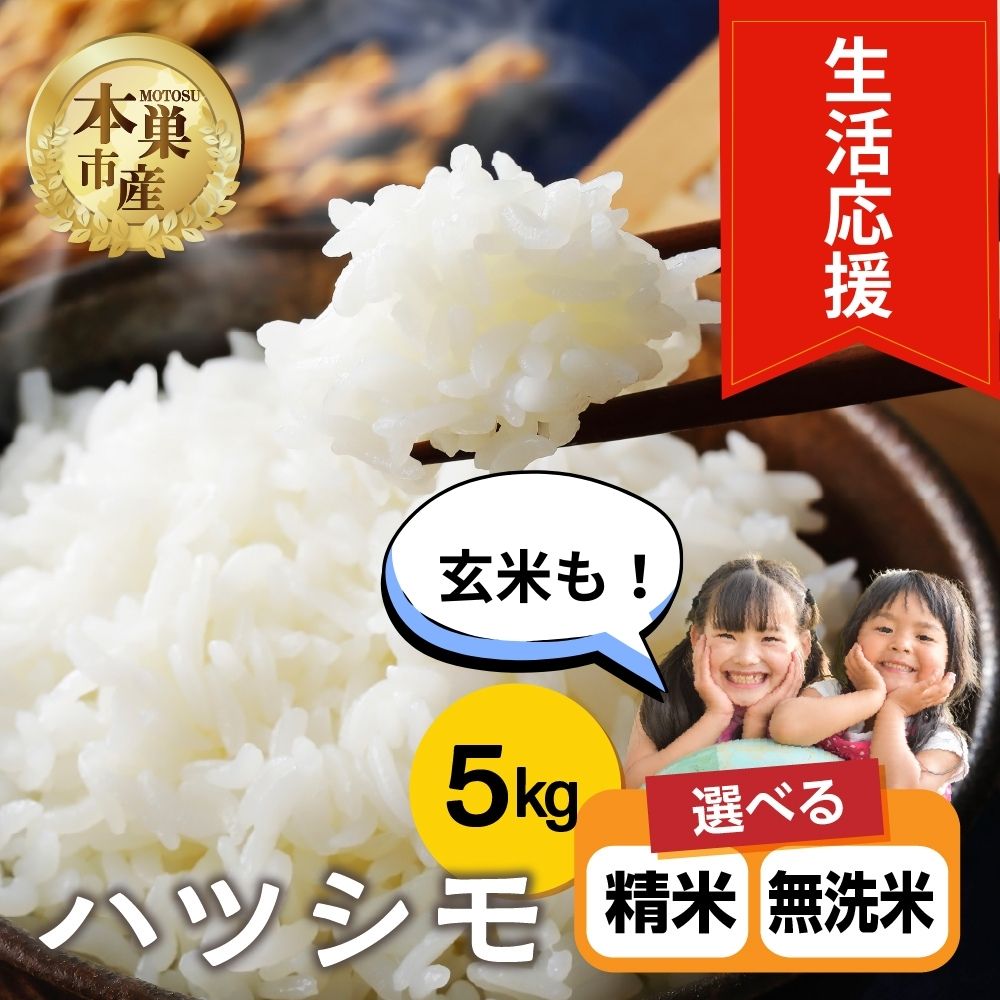 【ふるさと納税】新生活応援 米 5kg ハツシモ 令和7年産 新米 岐阜県 本巣市 選べる 精米 無洗米 玄米 お米 こめ 白米 産地直送 幻の米 ギフト 内祝い お中元 お歳暮 贈答 グルメ お取り寄せ 御祝 御礼 和食 寿司 弁当 おむすび くどみフルーツ農園 10000円 15000円