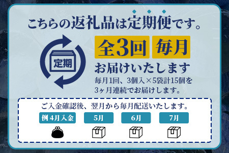 定期便【3回定期】さがん氷 丸氷 3個×5袋×3回（合計45個）E-177 藤津製氷 こおり 氷 ロック アイス 佐賀 鹿島 九州