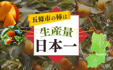 たねなし柿　約7kg箱（26～30個入）