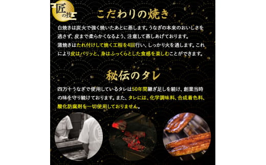 うなぎ 蒲焼き セット 220g (110g×2本) ／Esu-A92
