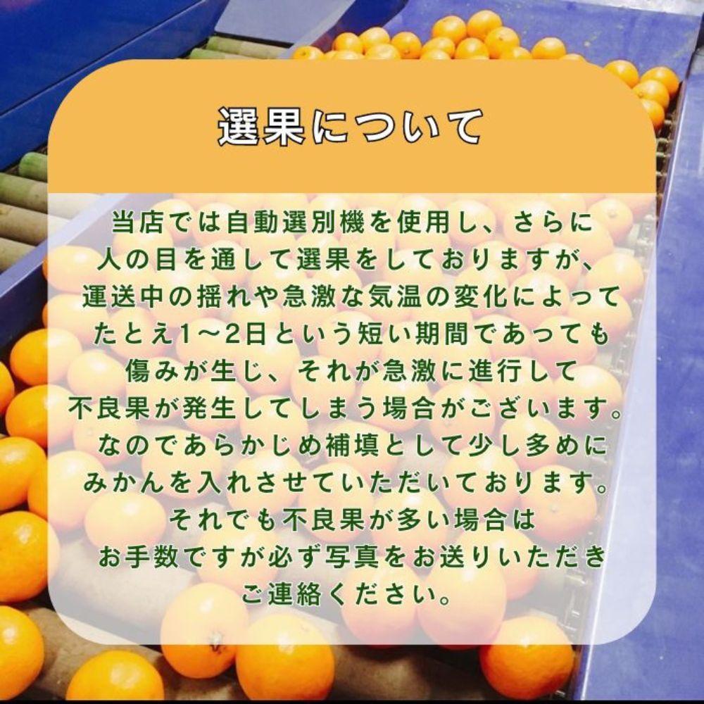 有田みかん 由良早生S～Lサイズ混合 約5kg 【2025年発送 先行予約】 ER01_イメージ4