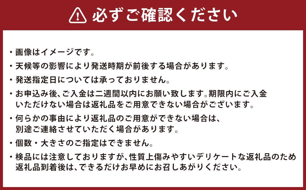 みかん約5kg