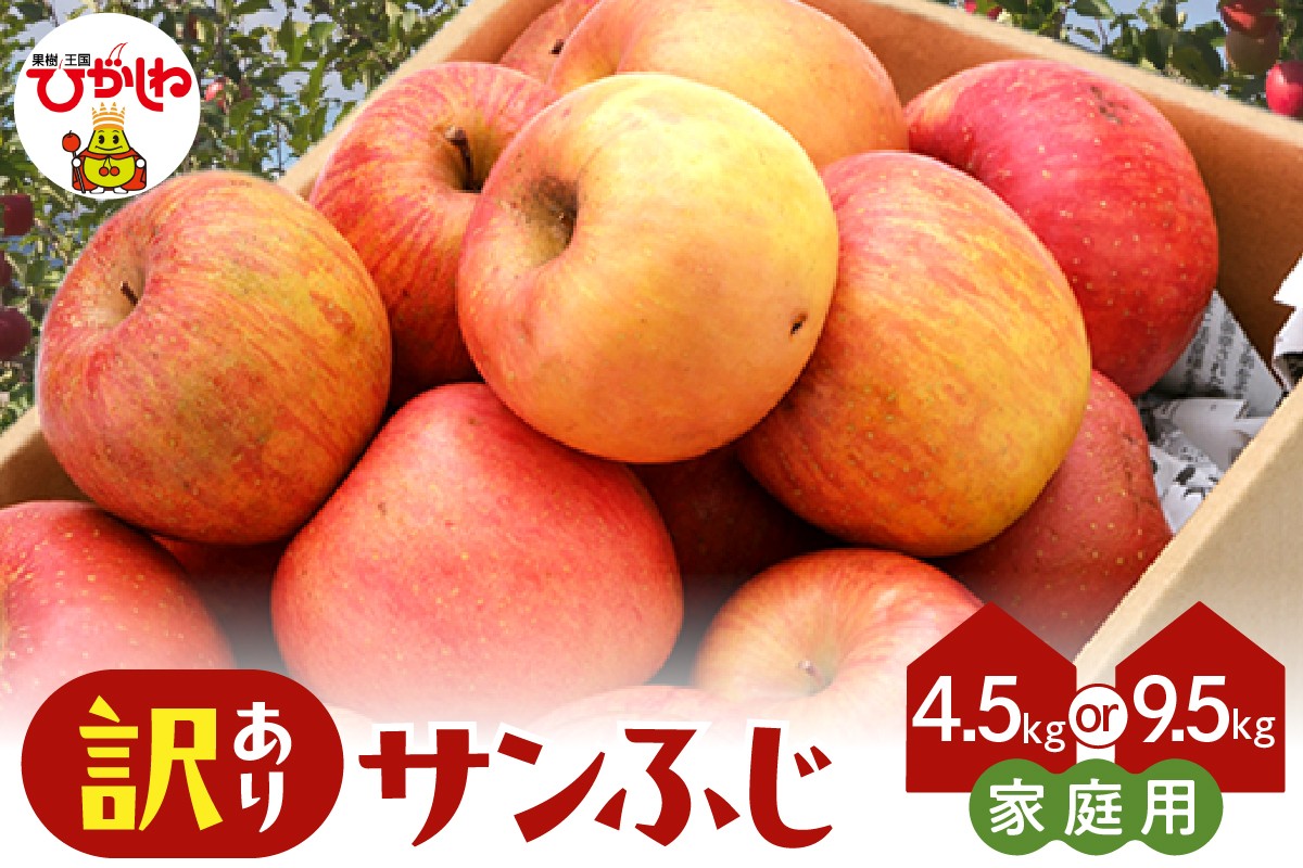 
                  【2026年産】 ≪選べる内容量≫ ※訳あり※ サンふじ満杯詰 【約4.5kg・約9.5kg】 山形県 東根市 東根農産センター提供 hi027-203-r8-o
                