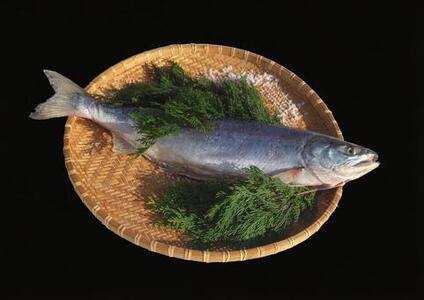 漁師の手作り！ 新巻鮭 切り身 約1.2kg 甘塩仕上げ 小分け 【 ふるさと納税 人気 おすすめ ランキング 魚介類 魚 しゃけ シャケ 鮭 サケ 秋鮭 生新巻鮭 大容量 おいしい 美味しい 新鮮 