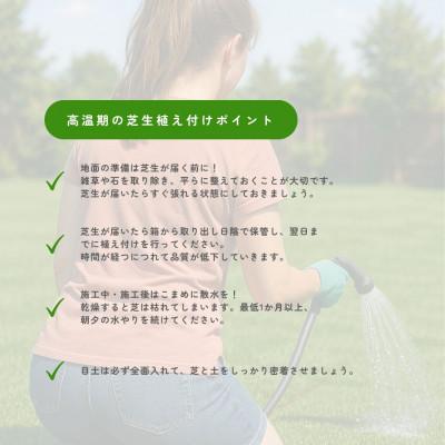 ふるさと納税 琴浦町 【2026年3月以降順次発送】芝生(省管理型コウライ芝　TM9ティーエムナイン)2束セット※2平米分 |  | 03