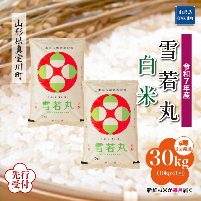 【ふるさと納税】 ※先行受付※ 令和7年産 真室川町厳選 雪若丸 ［白米］ 30kg 定期便（10kg×3回お届け）