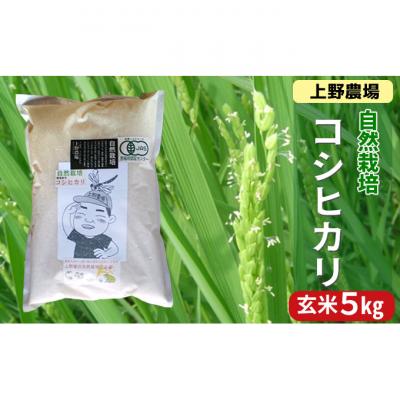 ふるさと納税 新潟市 上野農場 コシヒカリ 玄米5kg[54071531]