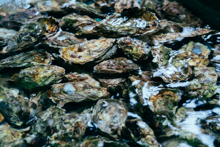 【予約商品】牡蠣　広島　むき身牡蠣1600ｇ（800ｇ×2）　矢野水産【配送不可：離島】【配送時期：2027年1月上旬～2027年4月上旬】