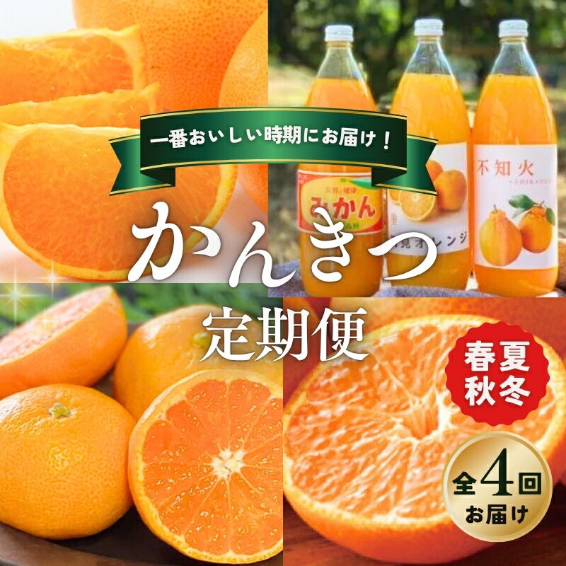 【ふるさと納税】 柑橘 定期便 石本果樹園 旬の柑橘を春夏秋冬でお届け！【全4回】 / フルーツ 果物 くだもの 柑橘 フルーツ定期便 くだもの定期便 定期便 みかん ミカン 温州みかん せとか カラマンダリン みかんジュース 産地直送 旬 人気 おすすめ 三重県 紀宝町