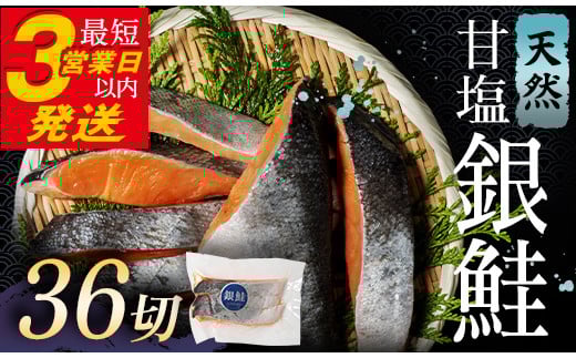 1月発送 銀鮭 3切×12パック 計36切れ 朝ごはんやお弁当に 銀鮭 36切れ 真空保存 甘塩 銀鮭 鮭 しゃけ サケ さけ ご飯のお供 朝食 真空 朝食 お弁当 おかず 小分け 大容量  F4F-2844
