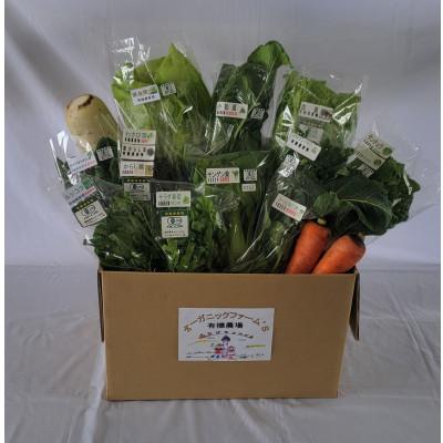 ふるさと納税 北斗市 【JAS認定有機野菜】北斗市産　有機野菜10〜12種類野菜セット 紙箱入(季節で種類が変わります)