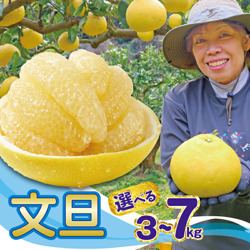 【ふるさと納税】 土佐文旦 5kg 家庭用 M ~ 5L 文旦 ジャム 訳あり ぶんたん みかん 高知 フルーツ スイーツ 蜜柑 お 国産 先行 お菓子 ケーキ 清家農園 宿毛市 高知県 特別栽培 農薬不使用 訳アリ ギフト お歳暮 お取り寄せ デザート 柑橘