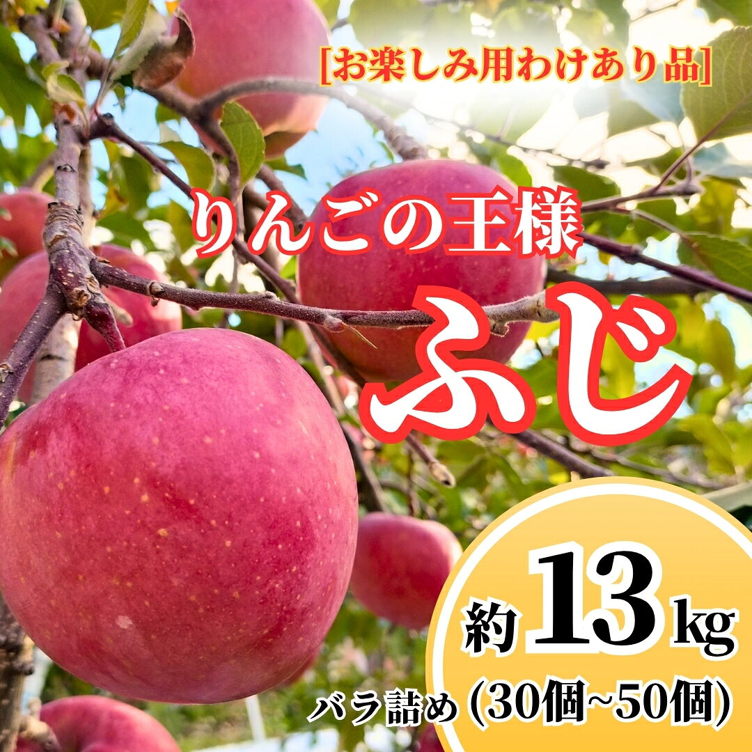 【ふるさと納税】ふじ [お楽しみ用 わけあり品] バラ詰め 約13kg (30個~50個) 【半蔵農園】 | りんご 林檎 リンゴ 信州りんご 長野県 千曲市