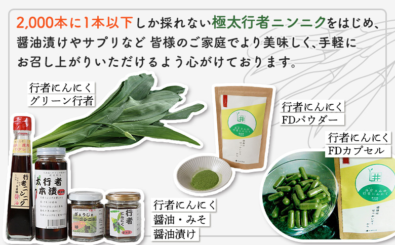 行者ニンニクFDカプセル×90粒【20007】_イメージ5