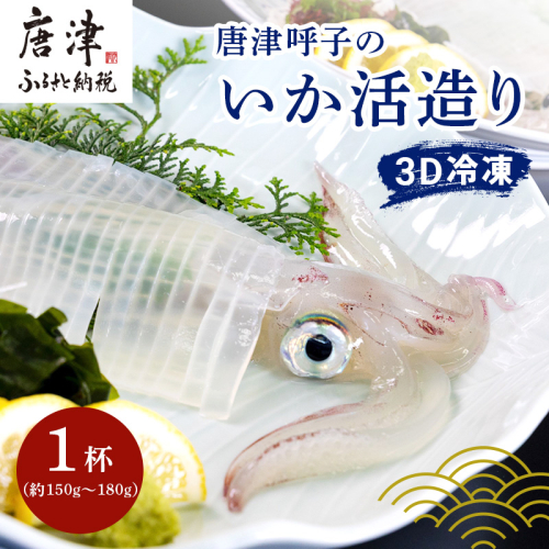 『先行予約』唐津呼子産いか活造り 1杯(約150g～180g)  急速冷凍 新鮮そのまま食卓へ！イカ 刺身 簡単 ギフト ※水揚げあり次第6月以降順次発送させていただきます。