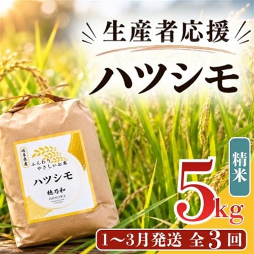 【発送月固定定期便】【先行予約】生産者応援!岐阜県産ハツシモ(精米)5kg【1～3月発送】全3回【配送不可地域：離島】【4073730】
