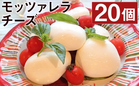 モッツァレラチーズ ミル爆 20個 チーズ モザレラ 株式会社フォルナ・ヴェスタ《90日以内に出荷予定(土日祝除く)》フレッシュ カプレーゼ おつまみ 前菜 手作り 国産 熊本県 菊池市 送料無料