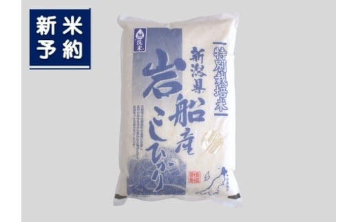 【新米受付・令和7年産米】【無洗米】特別栽培米 新潟県村上市岩船産 コシヒカリ5kg 1029005N