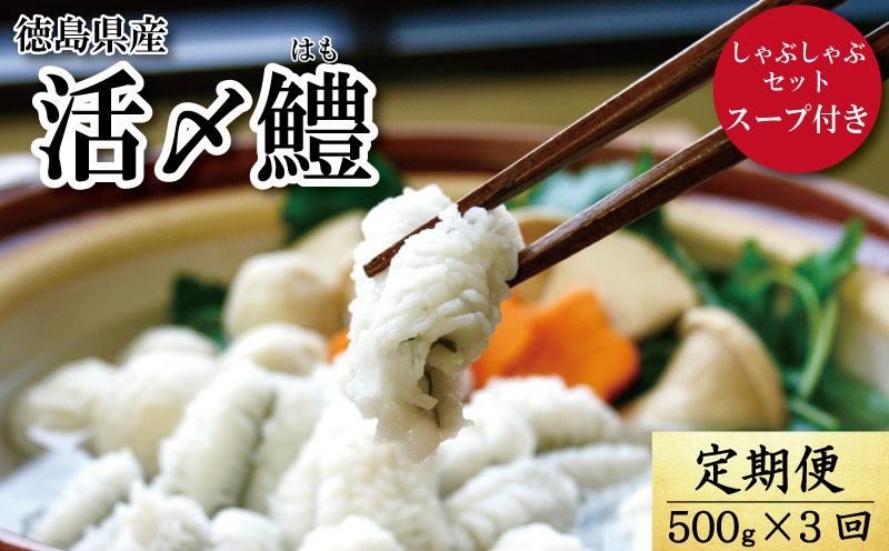 【定期便 全3回】 鱧しゃぶセット 毎月お届け！｜鱧 しゃぶしゃぶ セット 新鮮 産地直送 高級料亭 活け鱧 冷凍 国産 魚 魚介 海鮮 ※着日指定不可