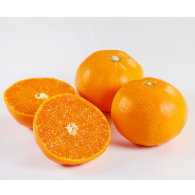 【ふるさと納税】【家庭用】せとか1.5kg【A21-54】【1682655】