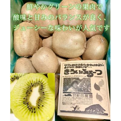 ふるさと納税 高野町 紀州かつらぎ山のキウイフルーツ約3kg |  | 01