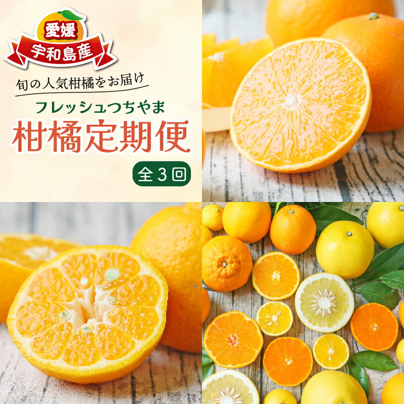 【ふるさと納税】 柑橘定期便 全 3回 みかん定期便 家庭用 愛果28号 ポンカン おまかせ詰合せ フレッシュつちやま 季節の柑橘 旬 愛媛みかん 愛媛蜜柑 愛媛ミカン 果物 くだもの フルーツ 柑橘 みかん mikan 産地直送 数量限定 国産 愛媛 宇和島 B036-096018