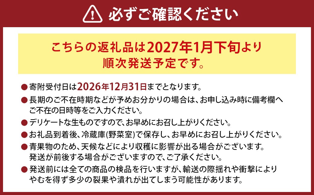 にべさんちの苺 熊本県産イチゴ空音(そらね)極み