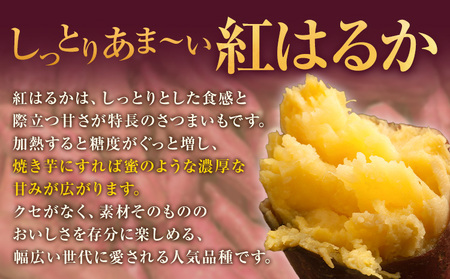 紅はるか 芋 10kg 紅はるか　芋《11月上旬-2月中旬頃出荷》