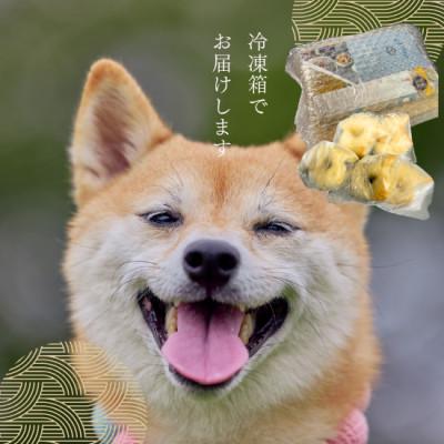 ふるさと納税 日高市 愛犬用無添加ベーグル【わんべ!】10個セット |  | 01