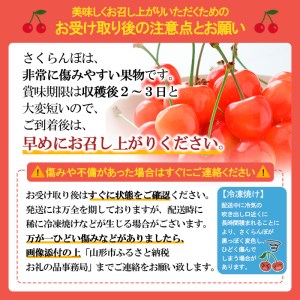 ★母の日★山形さくらんぼ佐藤錦 L 300g手詰メッセージ付(5/5～5/11着) 【令和7年産先行予約】FU18-298 くだもの 果物 フルーツ 山形 山形県 山形市 2025年産