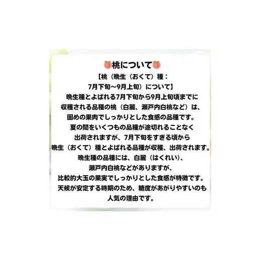 詰合せ 白桃 晩生種 3玉 シャインマスカット 1房 ニューピオーネ 1房 合計約1.8kg 岡山県産 【先行予約 2026年8月下旬から順次発送】
