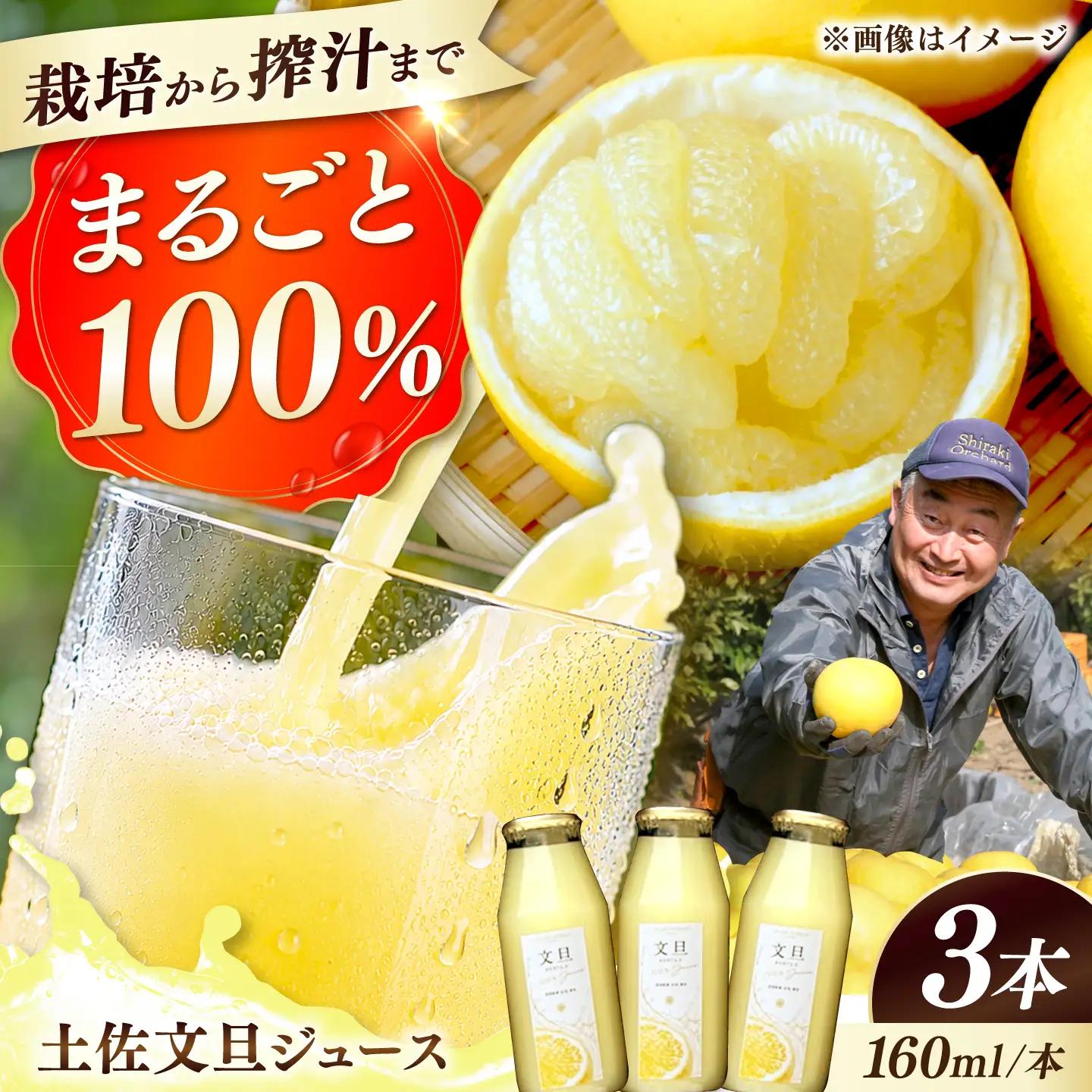 【先行予約】土佐文旦果汁100%ジュース 160ml×3本(計約480ml) ＜2027年6月～発送＞ / ジュース 果汁100% ストレートジュース 無濃縮 ストレート 文旦 ぶんたん ブンタン 土佐文旦 果汁 フルーツジュース みかんジュース 柑橘【白木果樹園】[BQAI059]