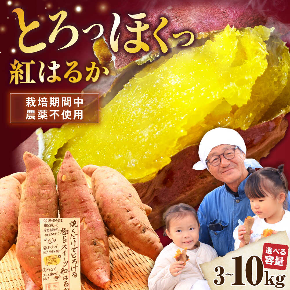 【ふるさと納税】【選べる容量】【厳選】さつまいも さつま芋 紅はるか 3kg～10kg （さつまいも 紅はるか べにはるか ベニハルカ）滋賀県長浜市/好作豊吉[AQCF013]