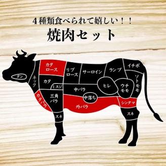 十勝姫焼肉セット(肩ロース焼肉200g・味付けブリスケ200g・カルビ300g・シンタマ300g)【配送不可地域：離島】