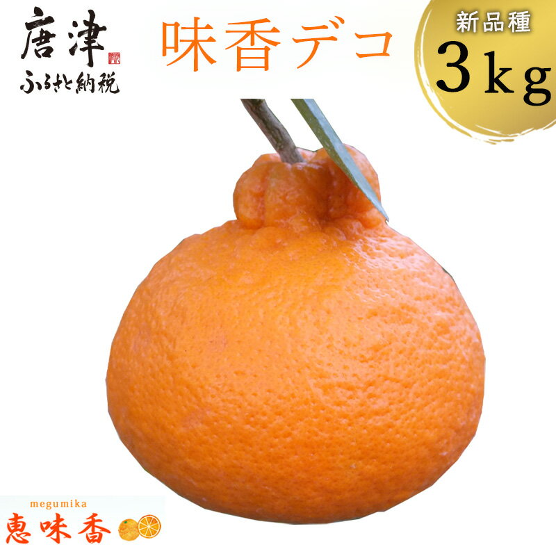 【ふるさと納税】『先行予約』【令和9年3月上旬発送】味香デコ 3kg 新品種 果皮も美味しく食べられる！フルーツ 果物 デザート 柑橘