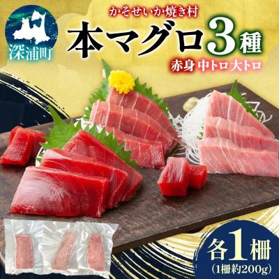 ふるさと納税 深浦町 青森県深浦産天然本マグロ3種(赤身・中トロ・大トロ各1柵)【No.5296-0206】