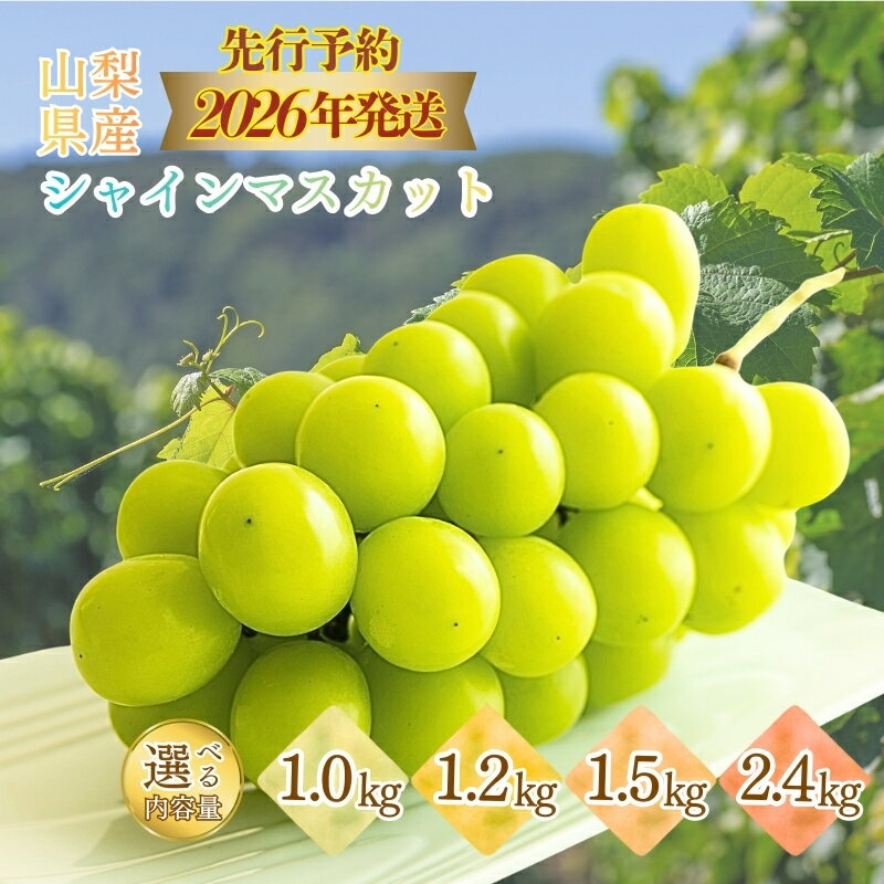 【ふるさと納税】山梨県産 シャインマスカット 約1.0kg～最大2.4kg 選べる　送料無料 やまなし 山梨 山梨県 シャイン 新鮮 美味しい 産地直送 贈答用 ギフト フルーツ 果物 ぶどう 葡萄 ブドウ 旬 【都留市】