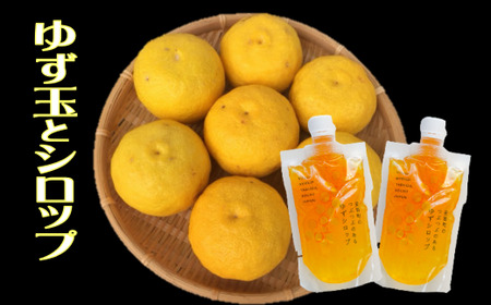 柚子三昧 ゆず玉 ゆずシロップ セット 期間限定 ゆず 柚子 シロップ 詰め合わせ セット 数量限定 6個 200g 2パック ギフト 贈り物 プレゼント  料理 お酒  TR-18