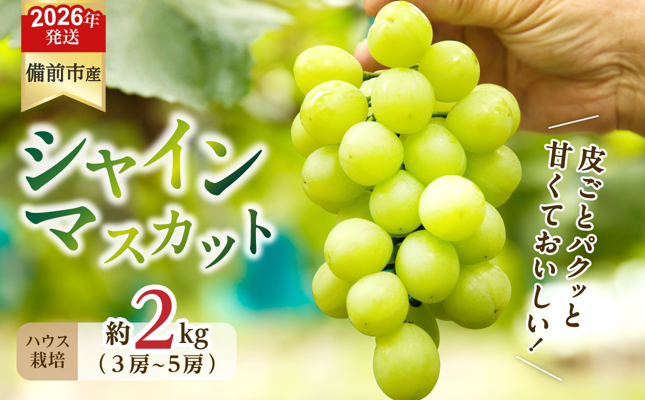 
            【2026年発送分　先行受付開始！】びぜん葡萄「シャインマスカット」（ハウス栽培）約2kg入（令和8年8月中旬～9月中旬頃発送）【 岡山県備前市産 シャインマスカット ハウス栽培 約2kg （3～5房目安）樹上完熟 】
          