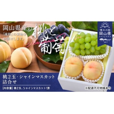 【2026年発送】桃・シャインマスカット詰合せ(白桃2玉・シャインマスカット1房)　合計約1.0kg【配送不可地域：離島】